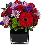 Colourful creation of mixed blooms for birthday giving, featuring red roses and spray roses with lovely pink, purple and green glooms. Great colours!