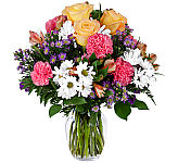 Show her that she is precious to you by sending this beautiful vase arrangement of her favourite flowers in pink, purple, mauve and violet. Same day delivery across Canada.