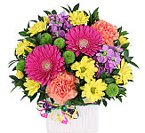 White ceramic vase arrangement of pink gerbera, yellow daisies, purple stock, peach carnations and green button poms.