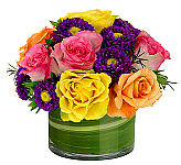 Glass bowl of assorted roses intermixed with pretty purple asters. Same day flower delivery across Canada with CanadaFlowers.CA.