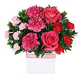 White ceramic vase of hot pink and light pink mini carnations, hot pink roses, and hot pink carnations.
