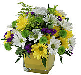 ​A colourful and lively arrangement of yellow, white and purple flowers. Featuring a wide-eyed combination of daisies and button poms, mixed with wonderfully delicate purple statice. A welcome breath of spring, available year-round. Sunglasses not included!