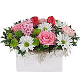 Pink Roses, White Daisies and More