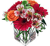 Pretty arrangement in a modern glass cube vase featuring roses, Gerbera, Alstroemeria and more.