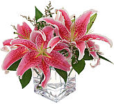Gorgeous stargazer lilies are simply arranged in a modern clear glass cube vase. Same day delivery across Canada.