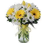 Stunning Mason Jar of yellow and white daisies complemented with greenery, and a yellow bow.