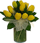 Ten yellow tulips are expertly arranged in a clear glass cylinder vase with a delicate organza bow. Same day delivery across Canada.