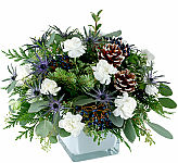 Send this delightful arrangement this holiday season! Light blue container adorned with holiday greens blue thistle and soft white blooms! 