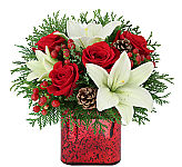 All I Want for Christmas