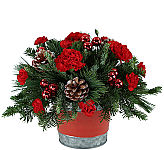 This charming holiday arrangement is delivered in a festive holiday tin with red carnations,  and fun holiday decore like pinecones, red ornament calls and a fun seasonal pick! 