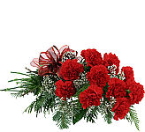 Long lasting wrapped bouquet of 12 fresh, red carnations with baby's breath, seasonal greens, festive bow and frosted pine cone. Flower delivery across Canada same day.