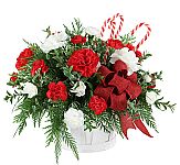 Traditional red and white colours with ample seasonal greens, make this gift a real favourite. Featuring carnations and miniature carnations with baby's breath, candy canes and a red bow · all expertly arranged in a handled wicker basket.