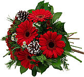 Budget friendly fresh flower bouquet of red gerbera, pine and cedar, asters and frosted pine cones.