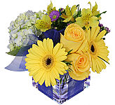 Send them our Canada Flowers Original design as a congratulations gift. Featuring yelow and blue flowers in a modern glass cube vase.
