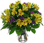 Clear glass ginger vase of several stems of yellow alstroemeria arranged with purple flowering statice and assorted greens. Perfect for Congratulations gift giving, or any occasion.