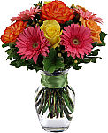 An uplifting bouquet of six or more mixed colour roses with pretty pink Gerbera daisies to say Congratulations. Featuring same day Canada wide delivery.
