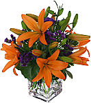 Our Orange Sunset arrangement is an affordable gift of orange lilies with purple statice highlights, presented in a modern glass cube vase. Same day delivery in Canada.