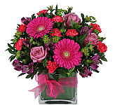 Clear glass vase arrangements of 2 hot pink gerbera, pink alstro green button poms and 3 bright yellow carnations.