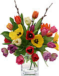 Gorgeous display of two dozen spring tulips in assorted colours, arranged with pussy willow branches. Same day flower delivery across Canada with Canada Flowers.