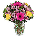 Clear glass vase arrangements of 2 hot pink gerbera, pink alstro green button poms and 3 bright yellow carnations.
