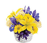 Value flower basket for spring by FTD® and Canada Flowers, featuring lilies, iris, daisies, and carnations in yellow and purple.