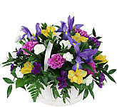 Colourful, uplifting and cheerful Spring Flower Basket by Canada Flowers, Canada's National Florist.