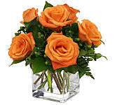 Stylish glass cube vase arranged with one half dozen orange roses and special floral accents. Same day delivery across Canada.