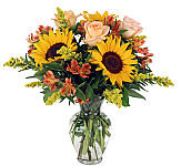 Sunflower Pleasure vase arrangement of sunflowers, orange roses and alstroemerias. Canada wide delivery.