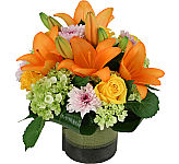 A gorgeous floral design for discriminating gift giving. Featuring delivery across Canada with Canada Flowers.