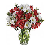 Teleflora's Dancing in Daisies. Whatever the occasion, this stunning array of the season's most fabulous flowers in a clear glass vase will make their day.