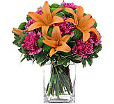 Our Haute Couture flower arrangement is fashionable expression of organge, fuchsia and green blooms perfectly suited for friendship giving. Same day delivery across Canada.