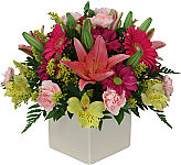 A pretty arrangement of flowers in a white cube container to send your comfort and get well wishes for a speedy recovery. Same day delivery in Canada.