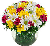 A glass bowl is arranged with yellow daisies, white daisies and pretty magenta miniature carnations.