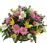 Featuring another Canada Flowers Original design. We call this · Gesture. An affordable flower basket for many occasions or sentiments, including Get Well.