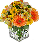Peach Sun is a delightful floral arrangement of yellow, peach and salmon blooms in a modern cube vase.