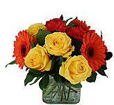 Looking for a special get well gift? Nowhere else online will you find our Canada Flowers Original 'Sunset Rays' Bouquet. Canada delivery same day.
