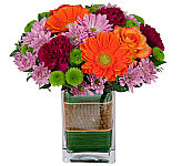 Uplifting flower arrangement of orange Gerbera daisies, orange roses, mauve daisies, burgundy carnations and green button poms.