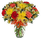 Send your wishes for wellness and health with this nice floral design of carnations, mums and alstroemeria.