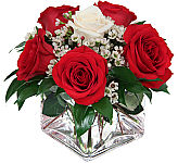 A single white roses rests in a bed of delicate white flowers and is surrounded by five red long stem roses. A special, romantic version of 1/2 dozen roses.