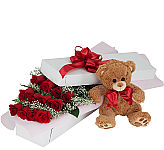 Send her Love and a Cuddle with 12 red roses and a cute teddy bear. The perfect way to show you care or just to say I Love You.