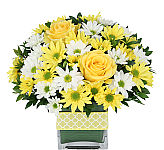 Send this welcoming floral gift to celebrate the birth of a new baby boy or girl. Same day delivery available across Canada.