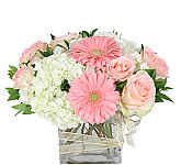 Cube glass vase arrangement of light pink roses, light pink gerbera, white hydrangea and a delicate gold bow.