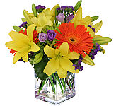 Share in their joy of the new arrival by sending our Canada Flowers Joy of Giving which also benefits BBBSC with a $2.00 donation. A truly feel good gift!