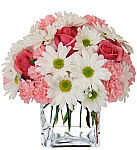 Pink roses and carnations mingle with white daisies in a clear glass cube vase. A pretty combination of flowers for any occasion. Same day Canada flower delivery.