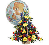 Share in the celebration of a new baby with our Maternity Celebration Flowers for mom and new baby with same day delivery available to almost anywhere in Canada