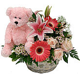 Send our Precious Girl basket of lovely pink flowers with added pink teddy bear for new baby celebrations.