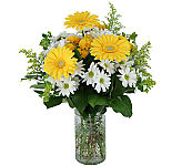 Send some Sunlight with a bright, clean and uplifting floral arrangement from Canada Flowers, Canada's National Florist. Flowers delivered same day across Canada.