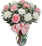 One dozen pink and white carnations arranged in a glass vase with baby's breath, greenery and pink bow