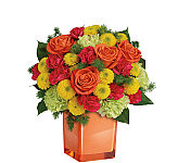 ​Teleflora Item #​TEV43-3C ​Bold orange roses, green carnations, dark pink miniature carnations, and yellow button spray chrysanthemums are mixed with ming fern and lemon leaf. Delivered in an ornage glass cube.