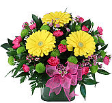 Gratitude a pretty leaf lined cube vase of yellow gerbera daisies, red mini carns, kermit mums and more! Perfect for Mother's Day.